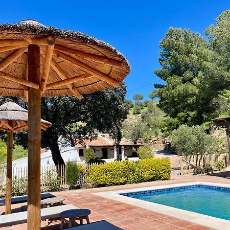 Finca El Sueno Andaluz Villanueva de la Concepción Exterior foto